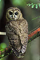 Thumbnail for version as of 21:58, 24 October 2008