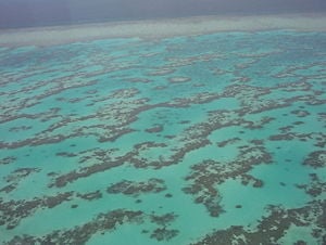 An aerial photograph of a section of the Great Barrier Reef