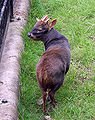 Thumbnail for version as of 16:24, 27 November 2006
