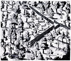 Sketch by Samuel de Champlain of a Huron deer hunt using a large V trap. Deer driven through forest to the point of a V where hunters wait.