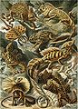 Thumbnail for version as of 01:14, 11 August 2007