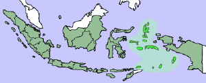 IndonesiaMalukuIslands.png