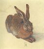Albrecht Dürer, A Young Hare, 1502, Watercolor Albertina, Vienna