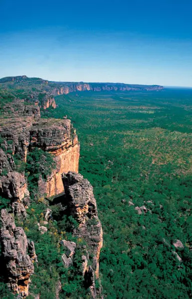 File:Kakadu 2431.jpg