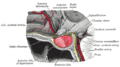 Thumbnail for version as of 13:56, 11 June 2007