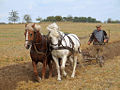 Thumbnail for version as of 00:23, 23 January 2008