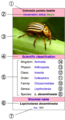 Thumbnail for version as of 14:21, 23 January 2007