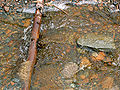 Thumbnail for version as of 04:10, 21 November 2007