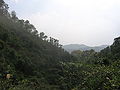 Thumbnail for version as of 14:19, 19 July 2008