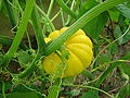 Thumbnail for version as of 16:02, 12 April 2008