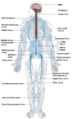 Thumbnail for version as of 22:21, 16 April 2007
