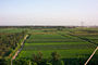 Farmlands in Hebei province, China.