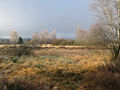 Thumbnail for version as of 01:54, 3 March 2007