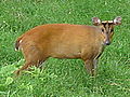 Thumbnail for version as of 14:38, 28 November 2006
