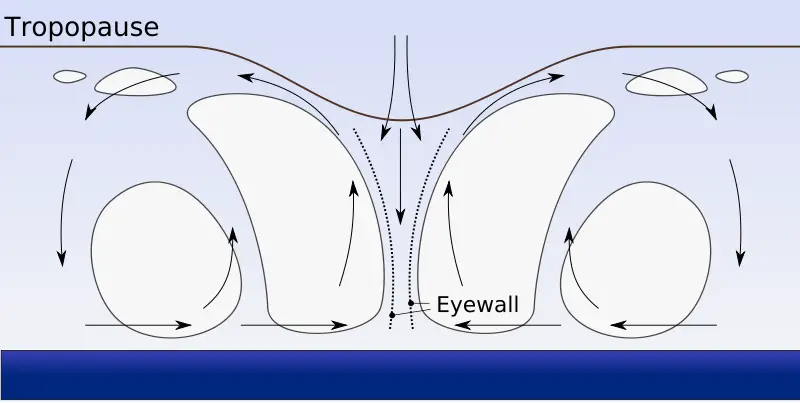 File:Hurricane profile.svg