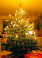 Thumbnail for version as of 22:04, 30 May 2006