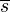 \overline{s}