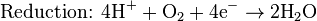 \mbox{Reduction: }\mbox{4H}^{+} + \mbox{O}_{2}+ \mbox{4e}^{-}\rightarrow\mbox{2H}_{2}\mbox{O}\,