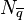 N_{\overline{q}}