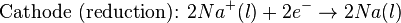 \mbox{Cathode (reduction): }2Na^{+}(l) + 2e^{-} \rightarrow 2Na(l)\,