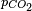 \scriptstyle p_{CO_2}