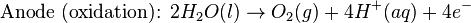 \mbox{Anode (oxidation): }2H_{2}O(l) \rightarrow O_{2}(g) + 4H^{+}(aq) + 4e^{-}\,