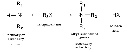Amine alkylation