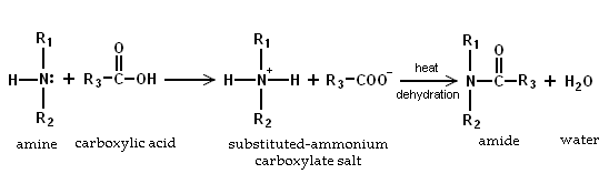 Amine reaction with carboxylic acids