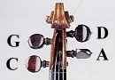 Viola peg strings.jpg