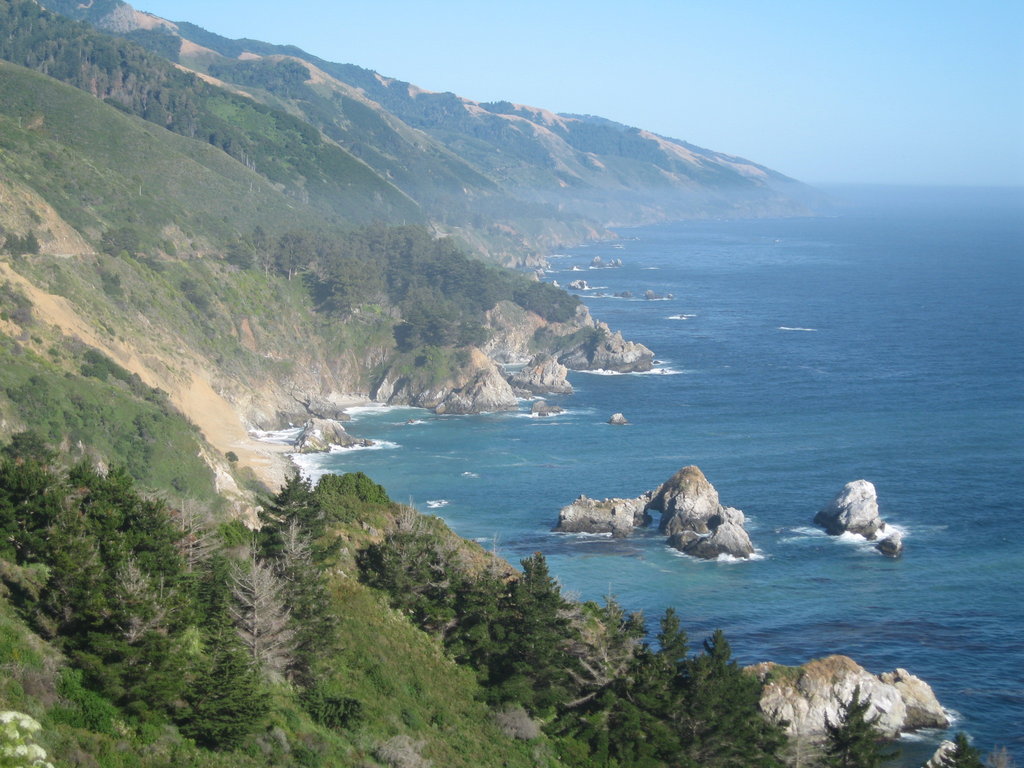 Coastline with the McWay Rocks in foreground.