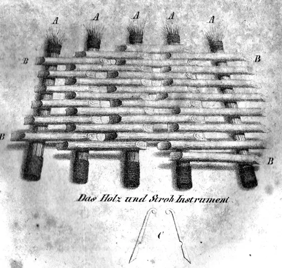 Xylophone New World Encyclopedia