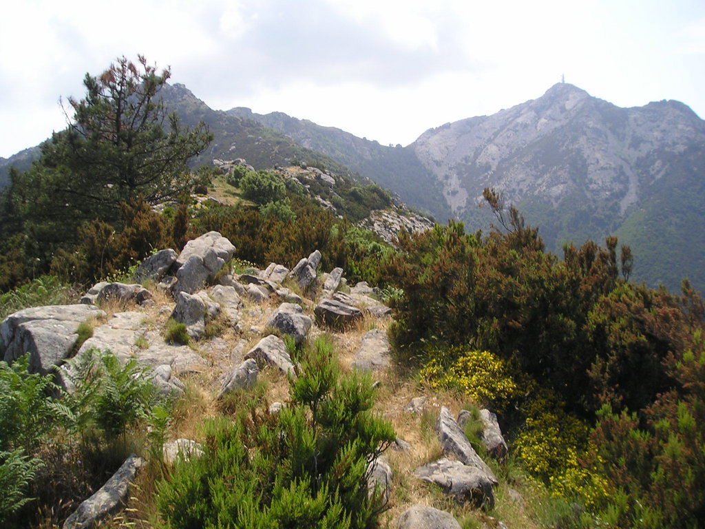Mt. Capanne, the highest peak on the island of Elba.