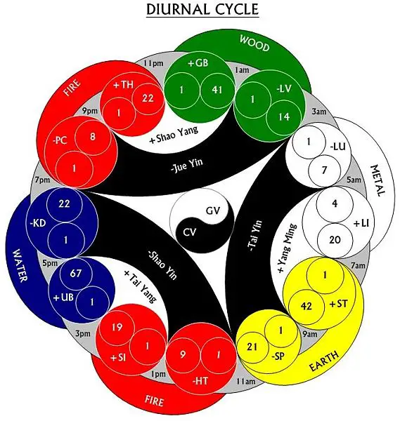 File:FiveElementsDiurnalCycle.jpg