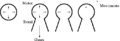 Thumbnail for version as of 02:09, 12 October 2007