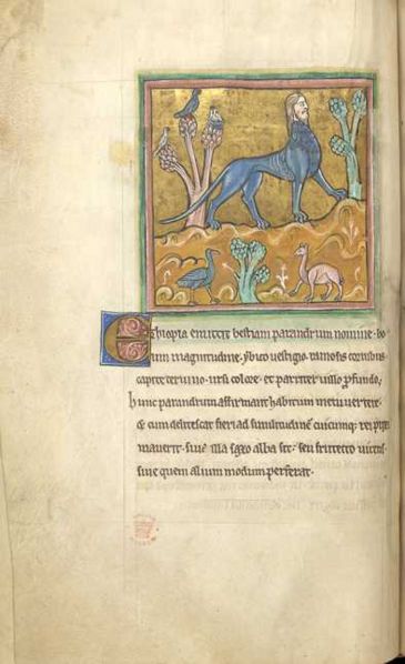 File:RochesterBestiaryFolio024vManticora.jpg