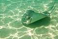 Thumbnail for version as of 03:01, 3 June 2008