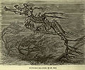 Thumbnail for version as of 01:08, 22 December 2008