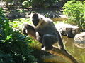 Thumbnail for version as of 16:19, 12 March 2007