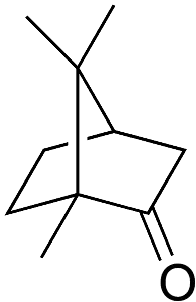 File:Camphor structure.png