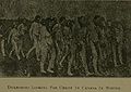 Thumbnail for version as of 03:48, 20 October 2008