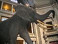Thumbnail for version as of 16:30, 15 August 2007