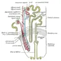 Thumbnail for version as of 16:44, 24 January 2009