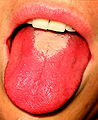 Thumbnail for version as of 19:25, 4 November 2007