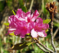 Thumbnail for version as of 01:06, 26 April 2008