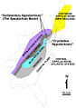 Thumbnail for version as of 15:18, 22 April 2006