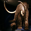 Thumbnail for version as of 16:34, 16 May 2008