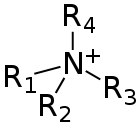 File:Quaternary-ammonium-cation.svg