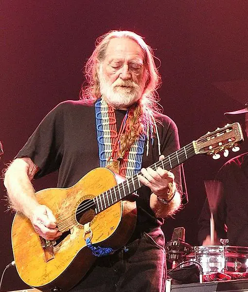 File:Willie UK2K7 2.JPG