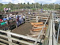 Thumbnail for version as of 00:27, 31 August 2008