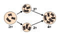 Thumbnail for version as of 20:42, 3 December 2006